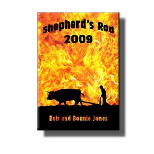A book cover with flames and a man standing next to a bull.