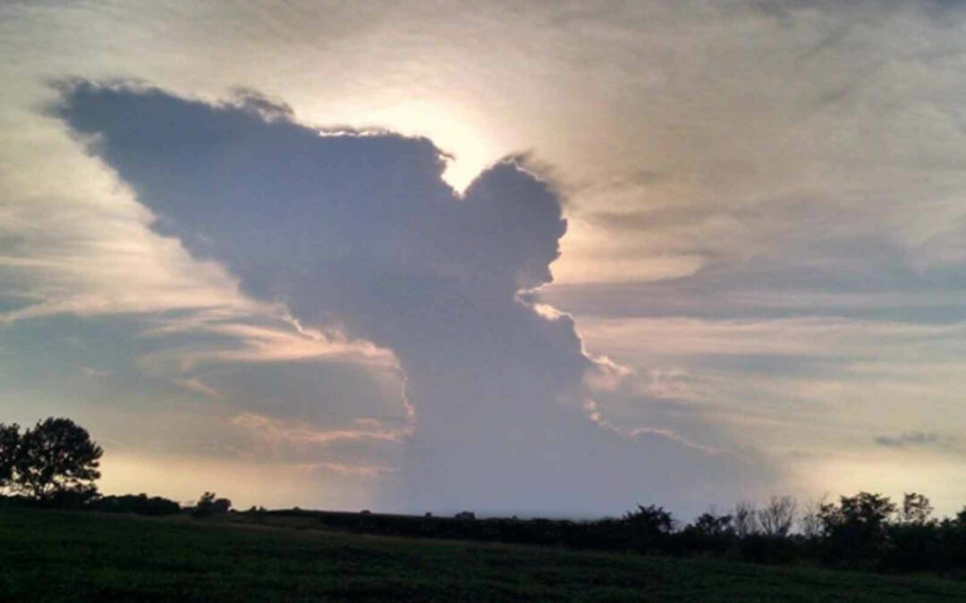 High Ranking Angels Release Glory And Power