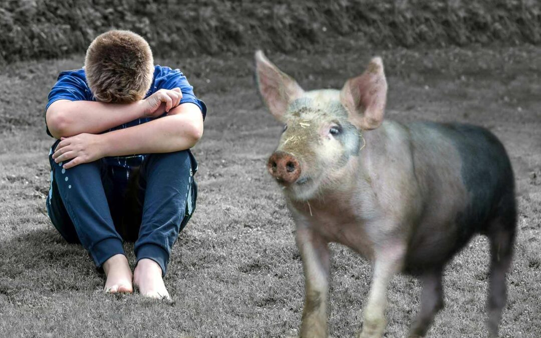 Prodigals Are Coming Home