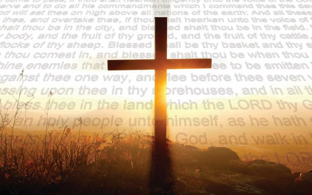 Biblical Laws Sanction Disease